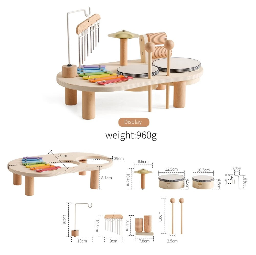 Montessori Toy Set - Musical Instruments