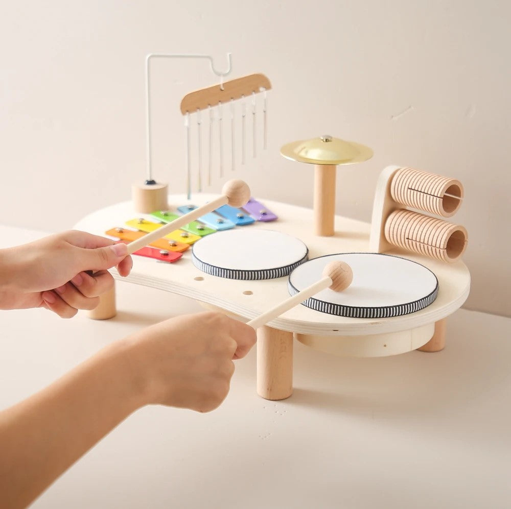 Montessori Toy Set - Musical Instruments