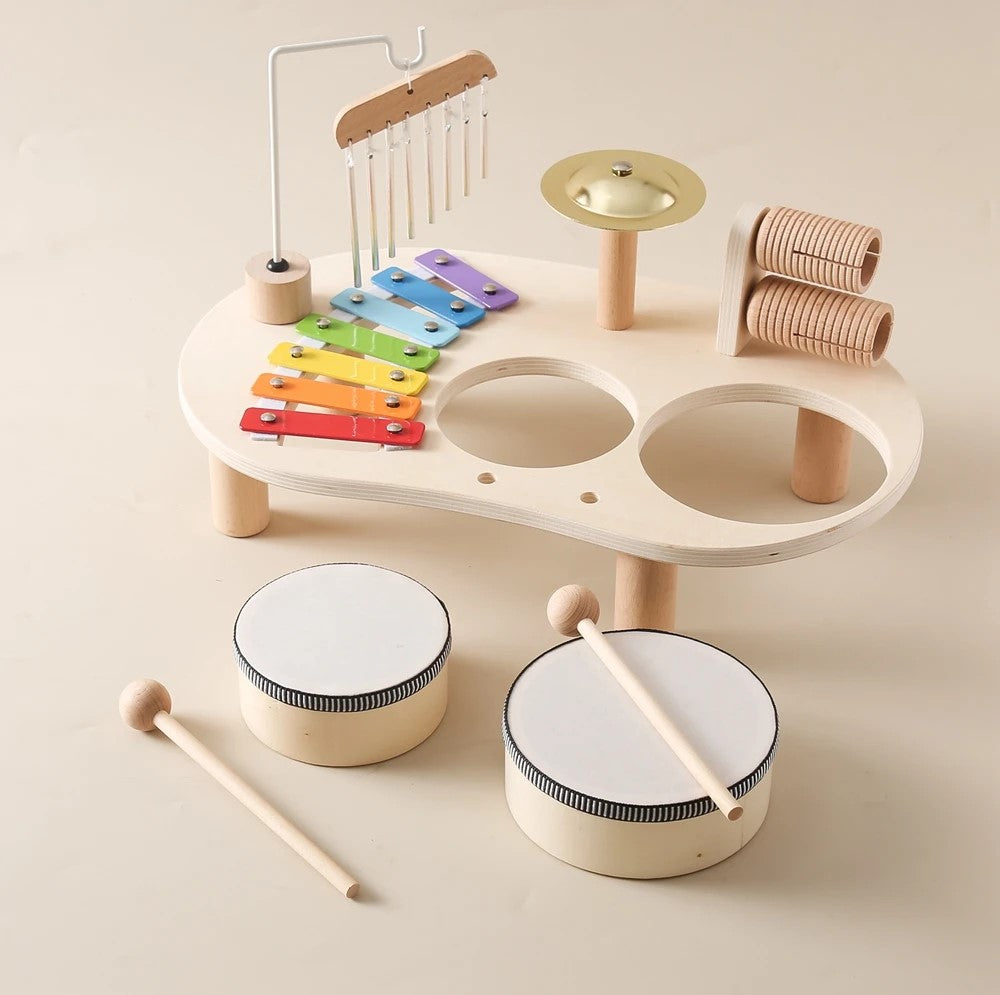 Montessori Toy Set - Musical Instruments