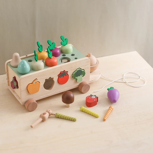 Montessori Toy Set - Wooden Carrot Cart