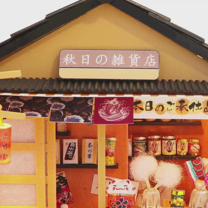 DIY Mini House - Japanese Store
